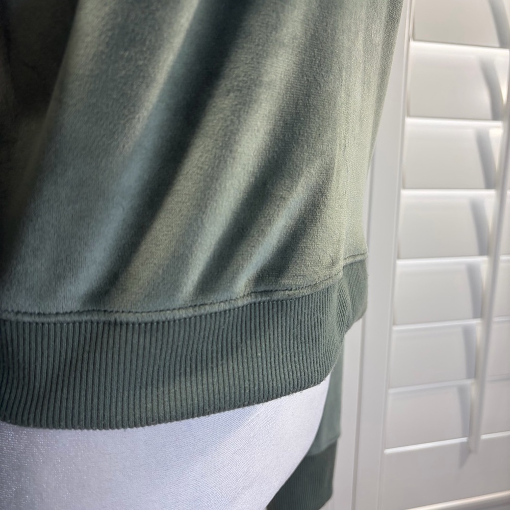 Aerie Dreamy Velour Cropped Hoodie in Royal Palm - Picture 10 of 16